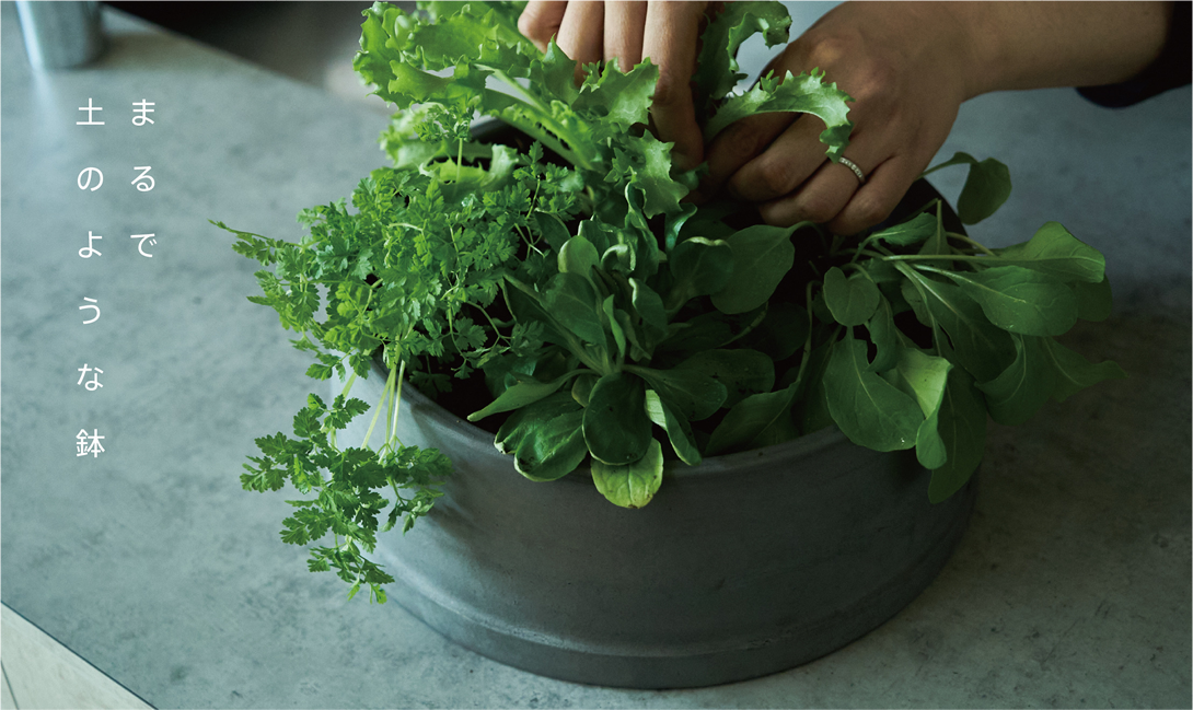 ハニトネ-まるで土のような鉢-